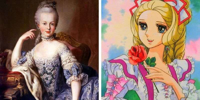 Vương hậu Marie - hoa hồng versailles